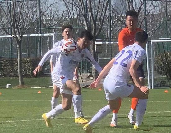 国产成a人亚洲精v品久久网