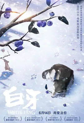 成人自拍视频在线观看