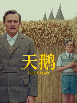 波多影院