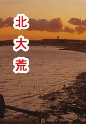 91在线看片一区国产
