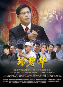 国产成人艳妇aa视频在线