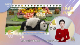 就要操
